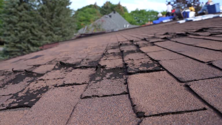 Emergency Roof Repair in Vassar, MI