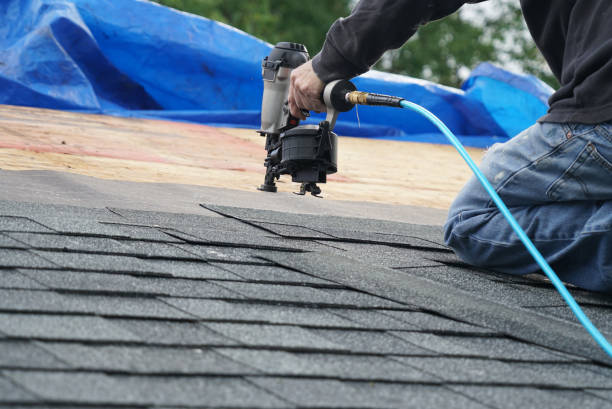 Best Roof Moss and Algae Removal  in Vassar, MI