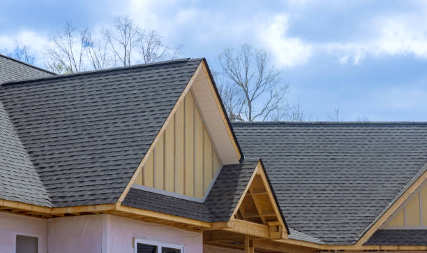 Best Emergency Roof Repair Services  in Vassar, MI