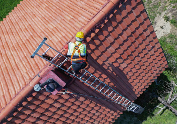 Best Asphalt Shingles Roofing  in Vassar, MI