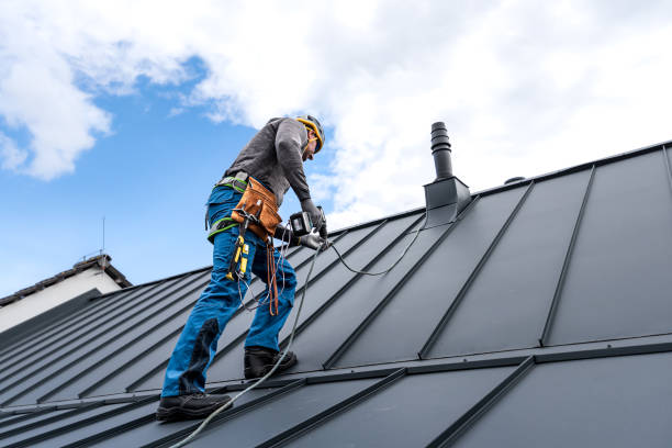Best Gutter Replacement  in Vassar, MI